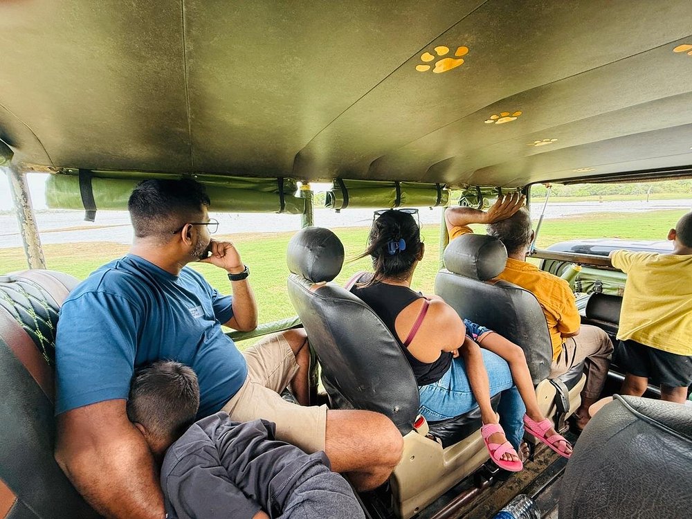 Lions resting at sunset